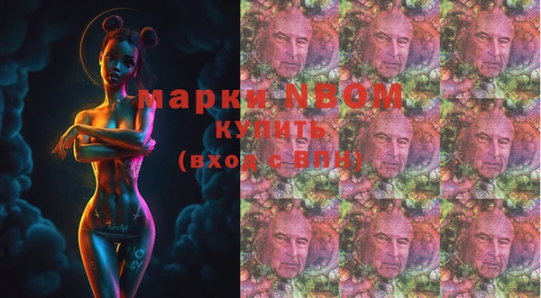 спайс Гусь-Хрустальный