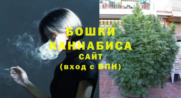 молекула духа Гусиноозёрск
