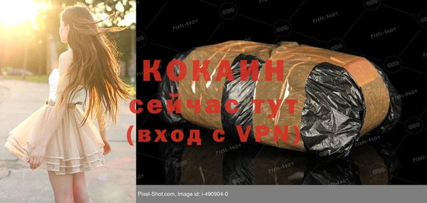 молекула духа Гусиноозёрск