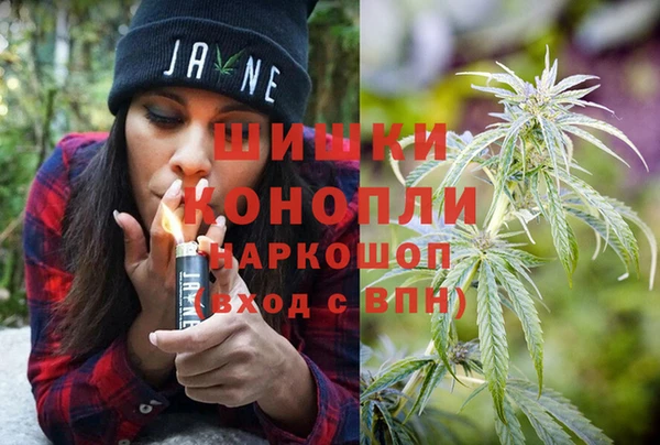 спайс Гусь-Хрустальный
