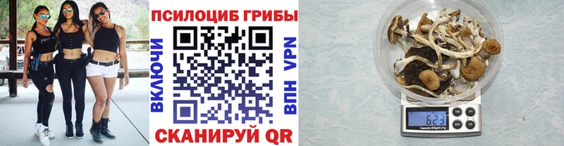 Псилоцибиновые грибы прущие грибы  Купить где  Стрежевой 